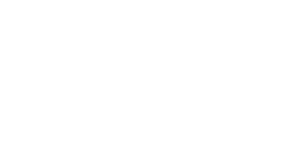 Powered by Palladino Auto Group